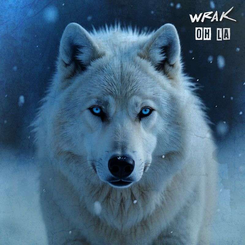 pochette de l'album start and stop de wrak